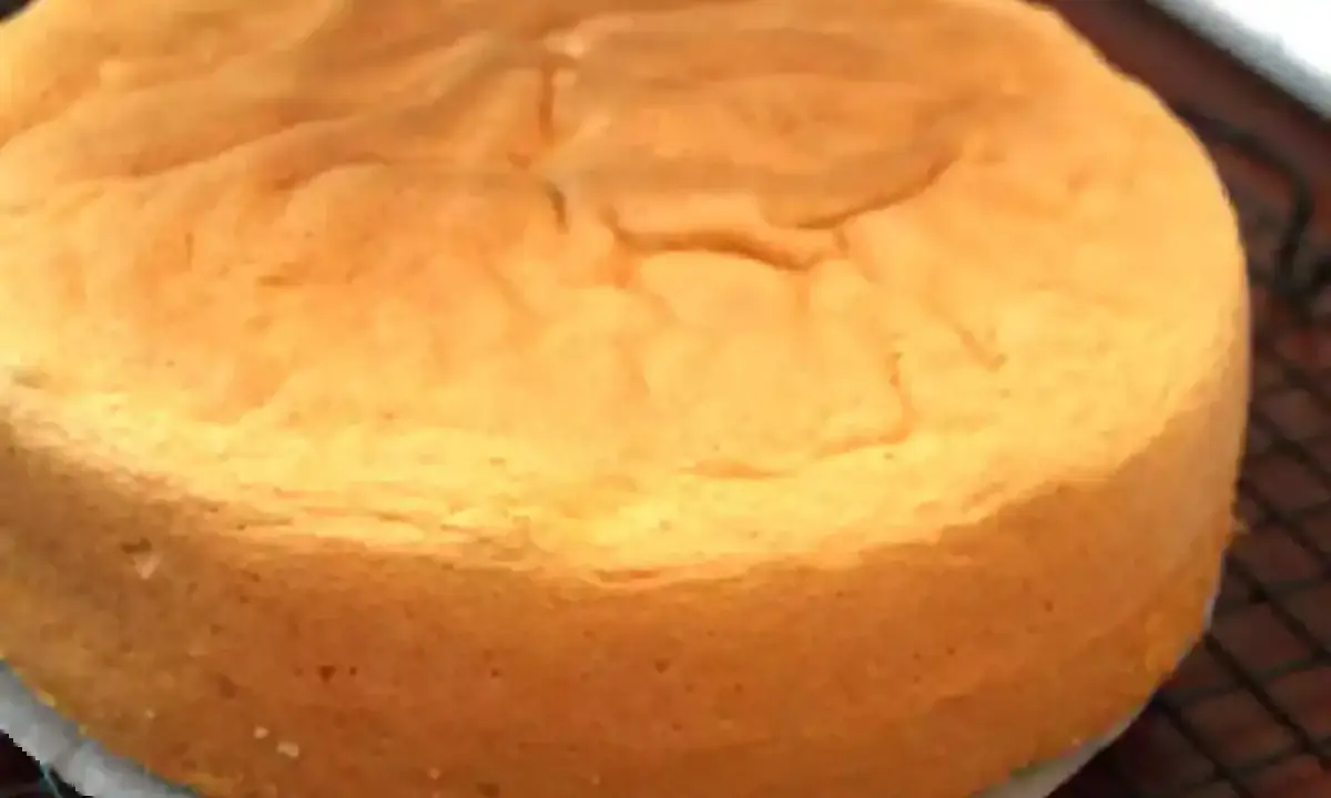 Un biscuit pour fond de gâteau facile, doré et moelleux, prêt à être garni.
