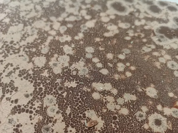 Texture craquelée marron et beige, rappelant un point blanc chocolat, avec des motifs aléatoires et des petites bulles.